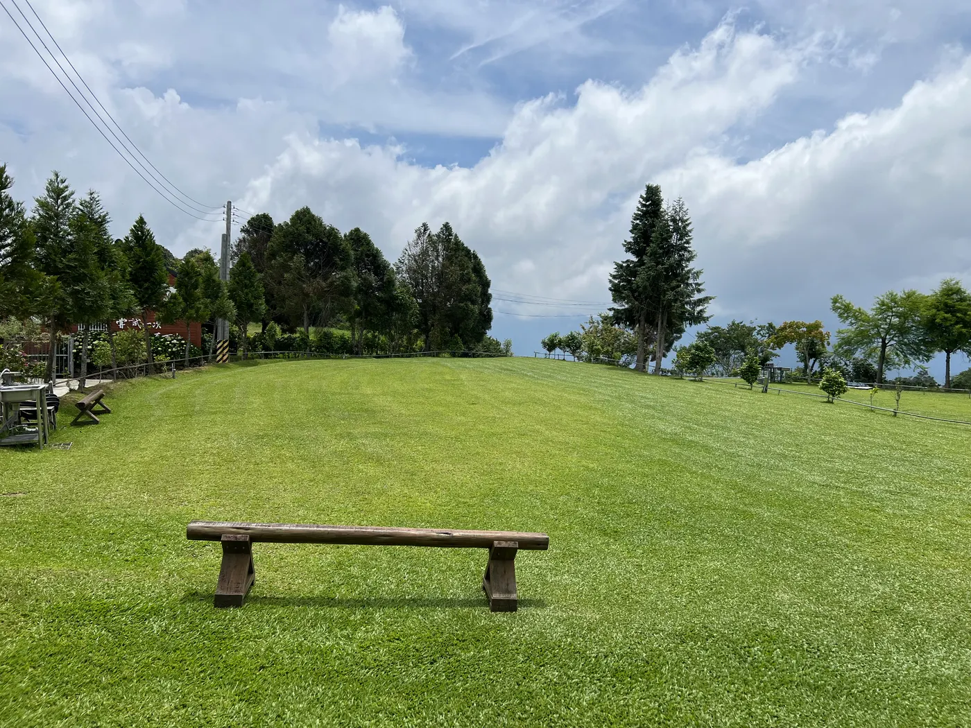 雲霧農場A區於2025年5月23日拍攝的開闊草地與周邊樹線實景
