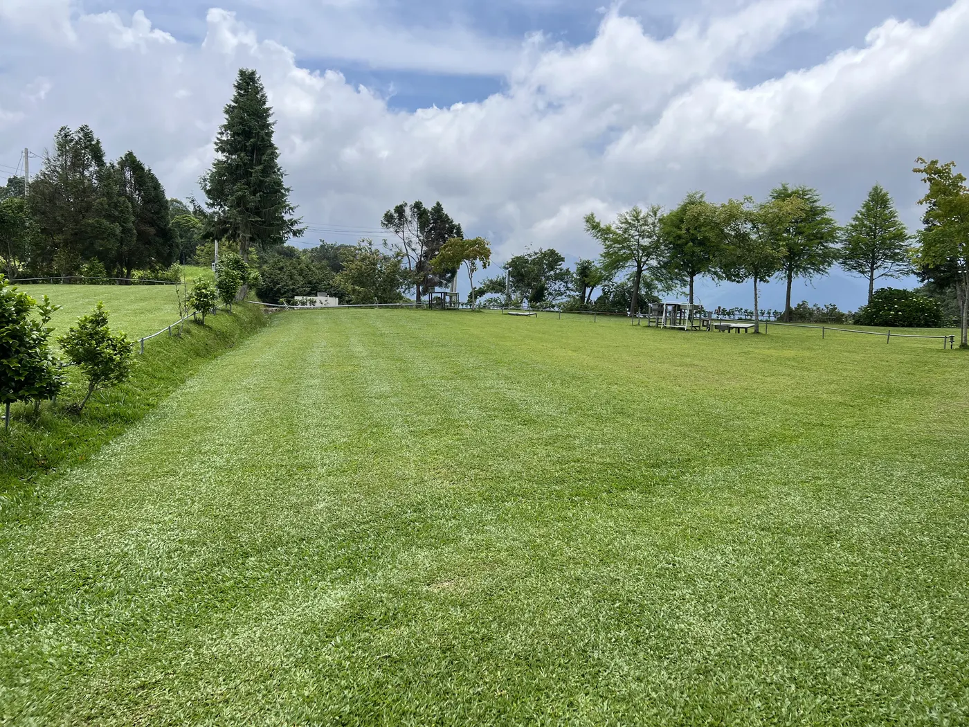 雲霧農場B區於2025年5月23日拍攝的長向草地與兩側植栽實景