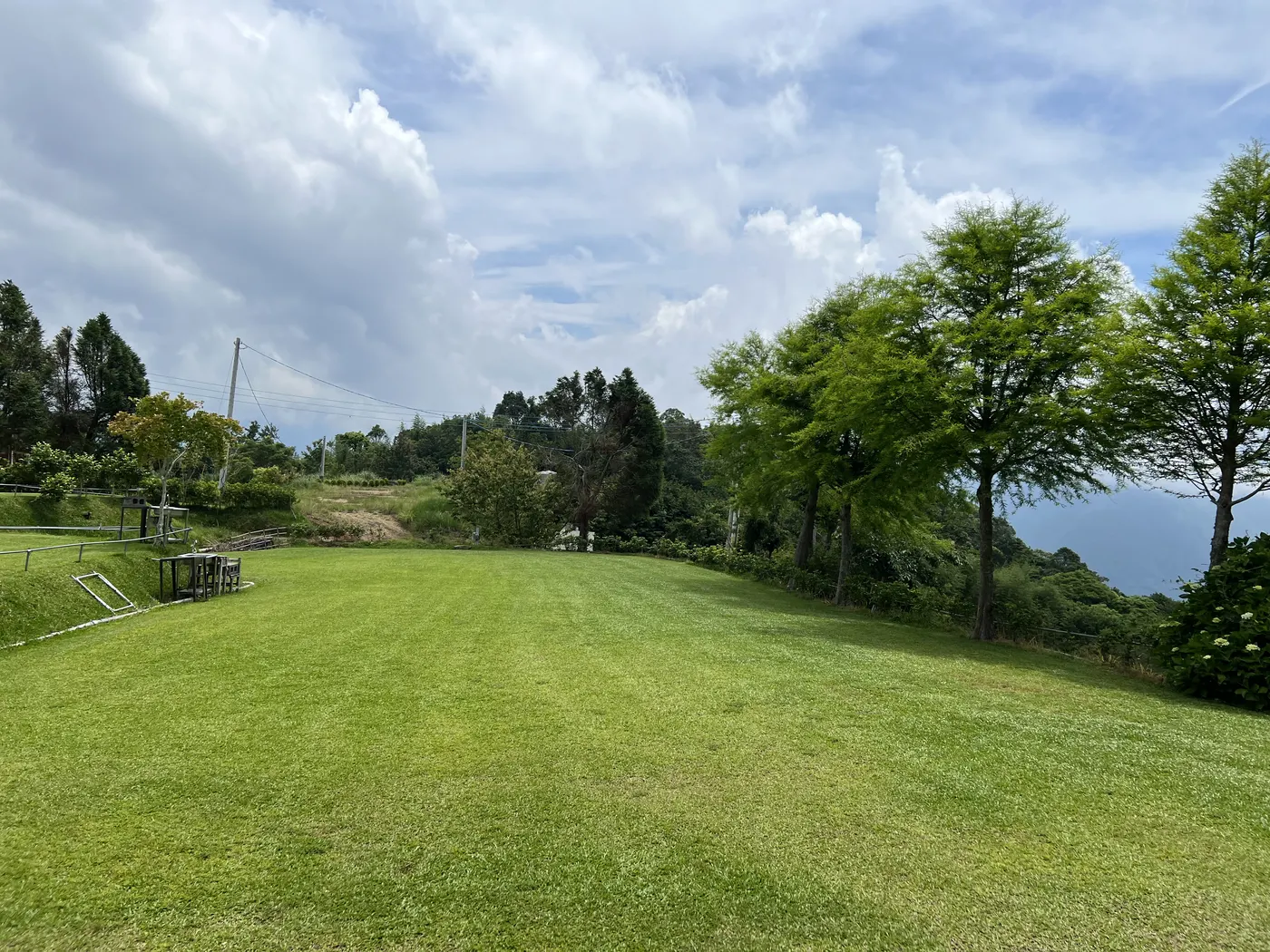 雲霧農場C區於2025年5月23日拍攝的草地與側邊樹景實景