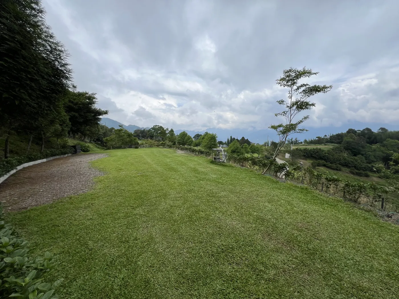從另一方向拍攝的雲霧農場J02長向草地與場地邊界