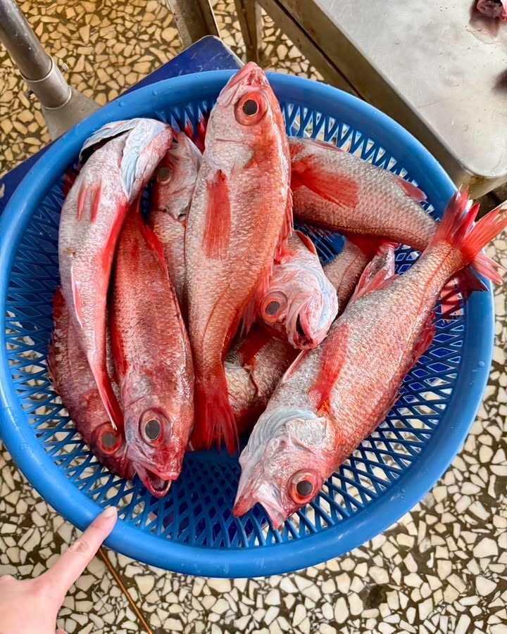 雲霧食堂當週限定食材