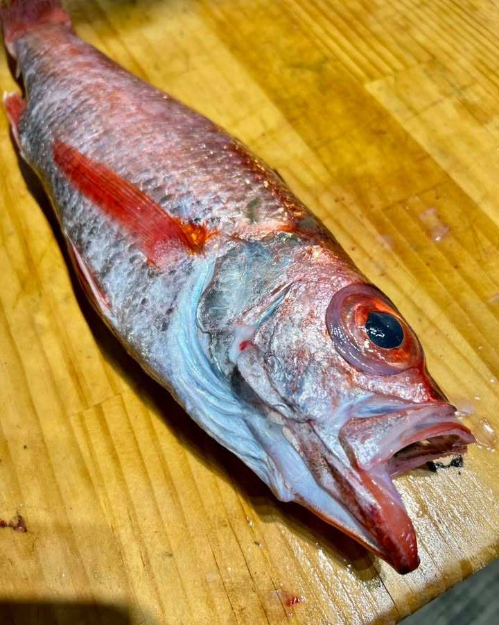 雲霧食堂熟成魚料理
