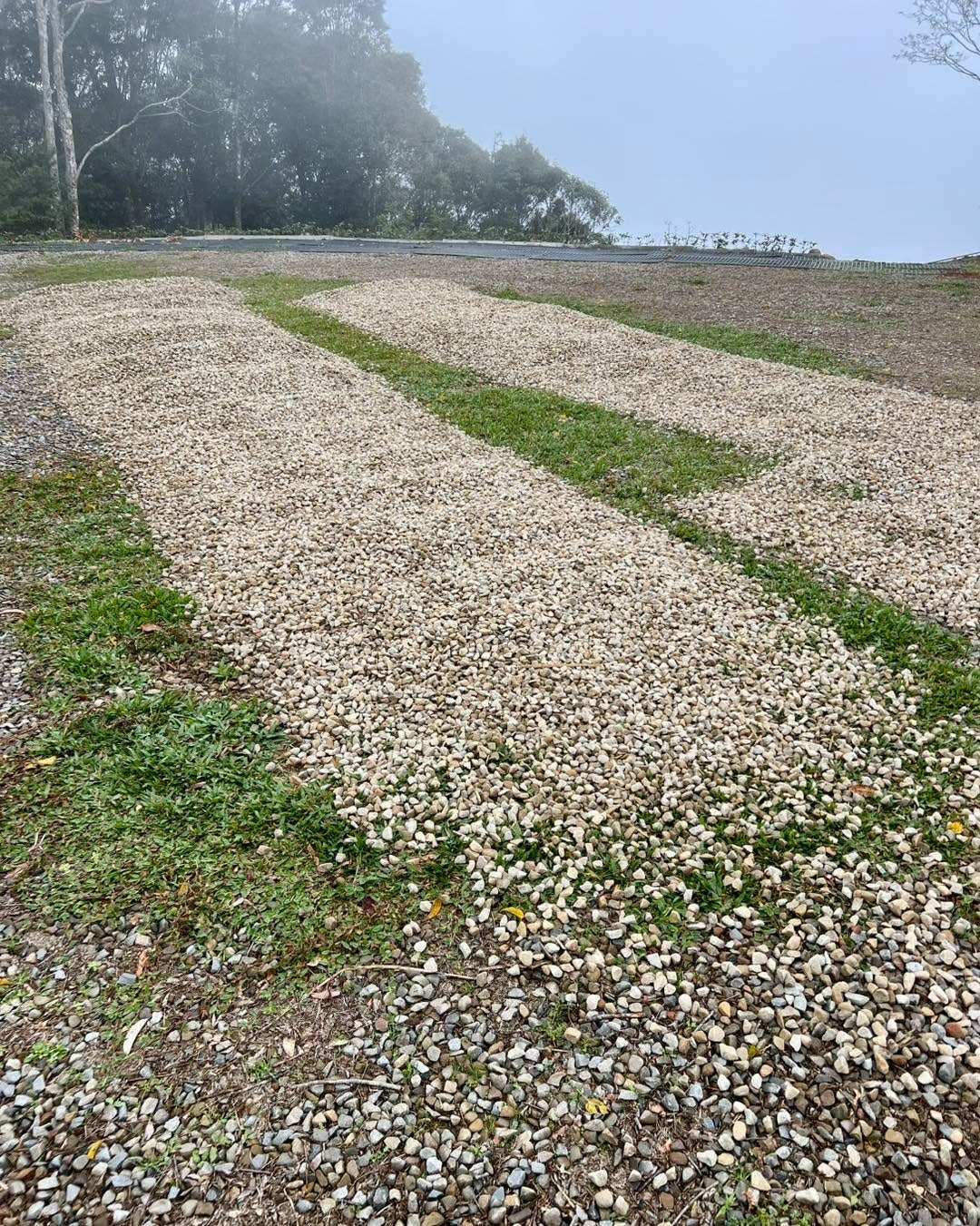雲霧農場排水與草皮管理