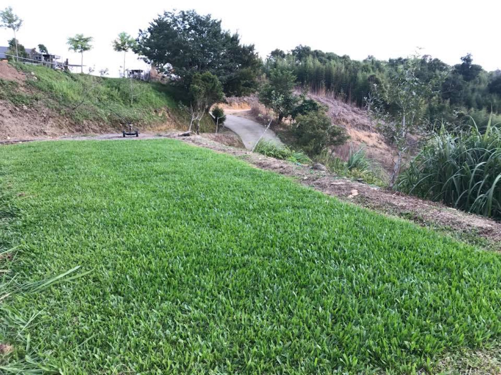 雲霧農場草地留白與步道，呈現低密度露營距離