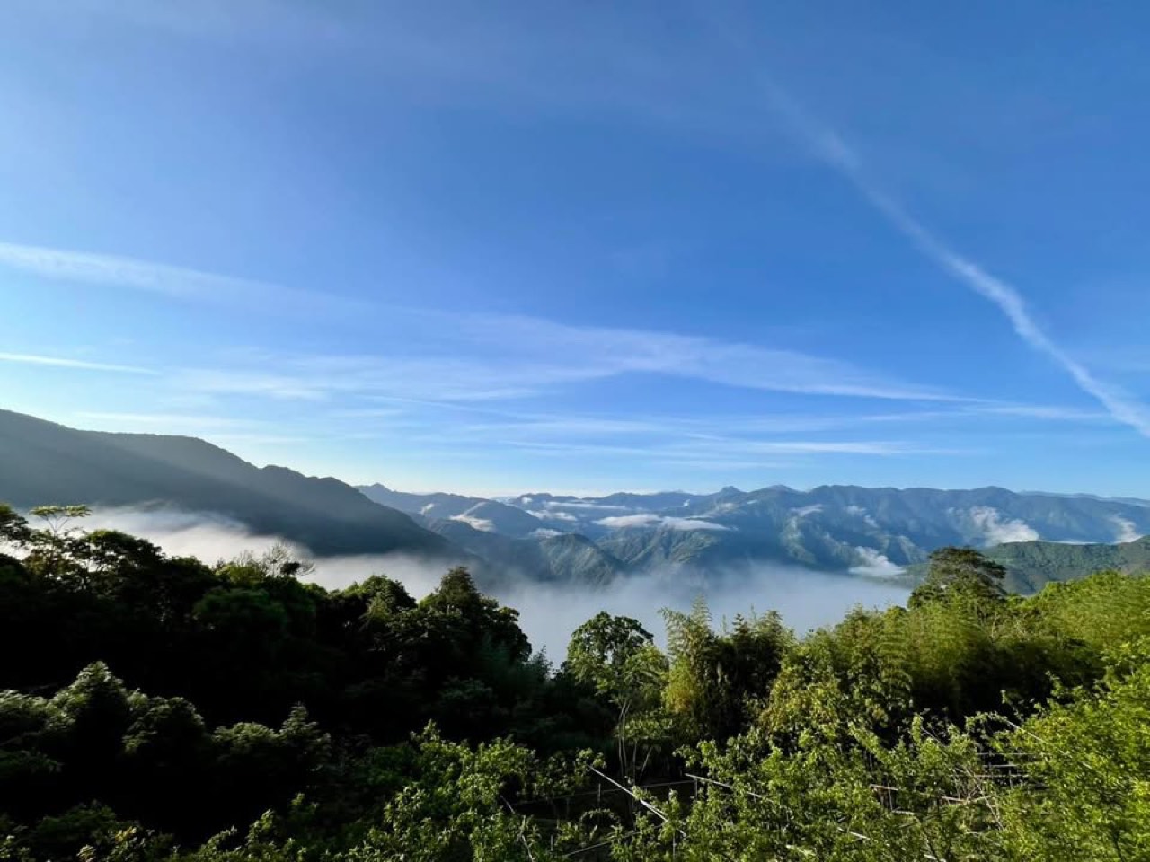 雲霧農場桃園復興雲海與 LINE 問位提醒
