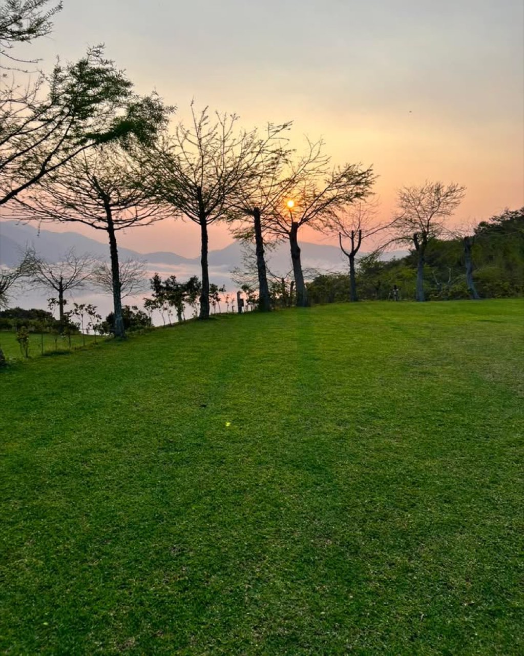 雲霧農場山林安靜露營與禁止卡拉 OK 管理