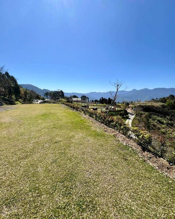雲霧農場營主觀點與訂位信任