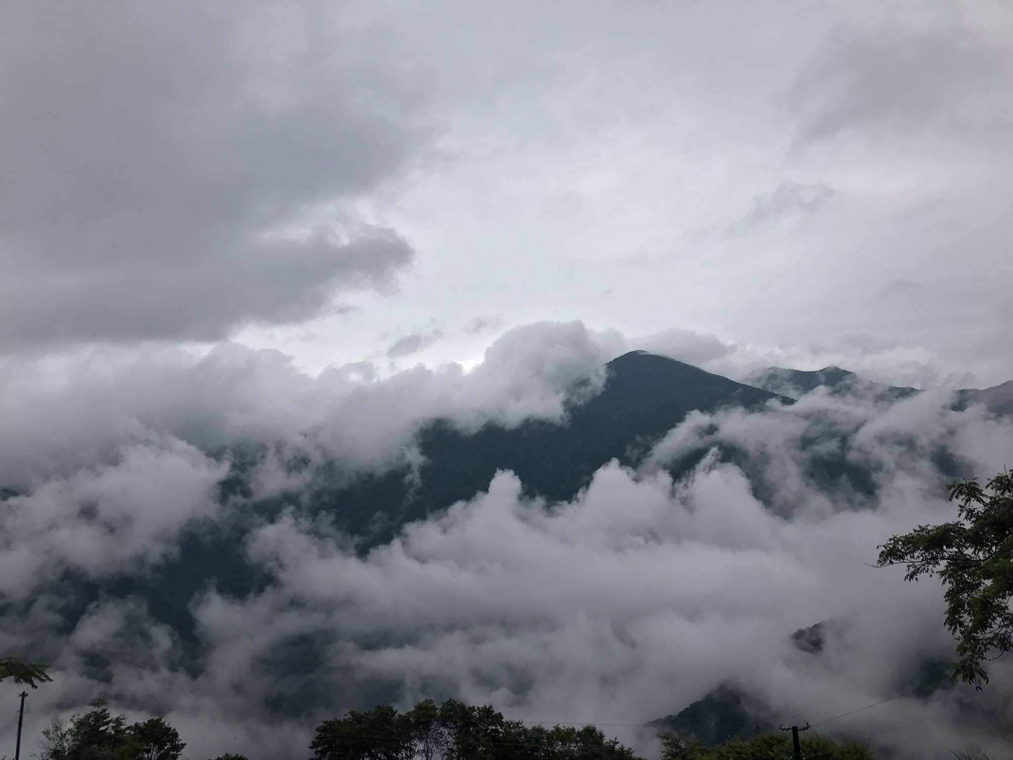 雲霧農場天氣與山路安全提醒