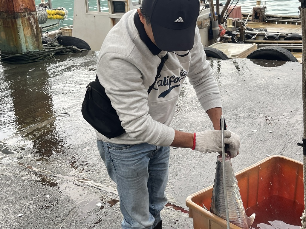營主過往分享的魚貨處理紀錄